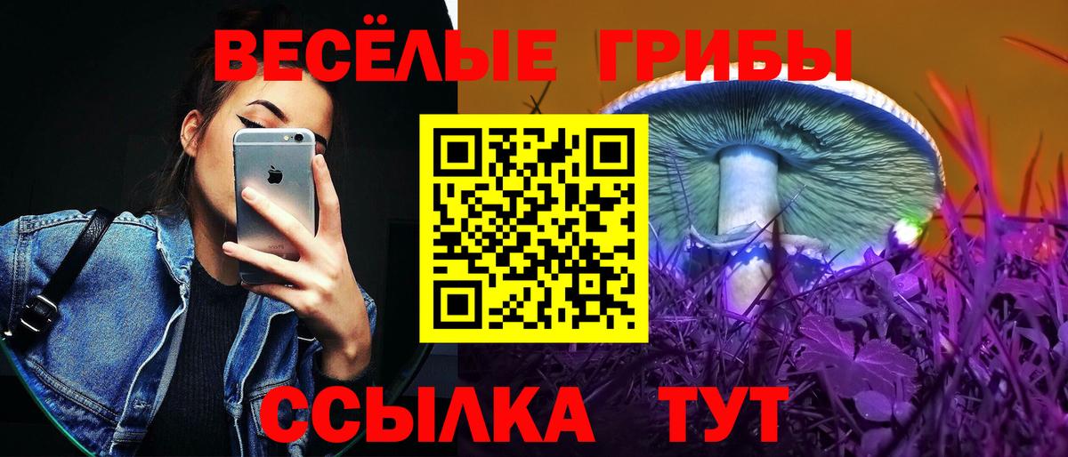 Мурино  Псилоцибиновые грибы Psilocybe  Вход с VPN 