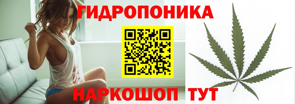 Конопля Amnesia  Шишки марихуана White Widow  Конопля сатива  Вход с VPN  Мурино 